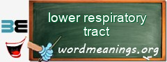 WordMeaning blackboard for lower respiratory tract